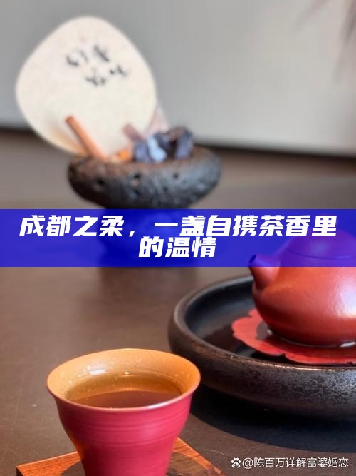 成都之柔，一盏自携茶香里的温情