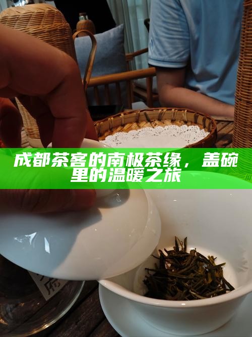 成都茶客的南极茶缘，盖碗里的温暖之旅