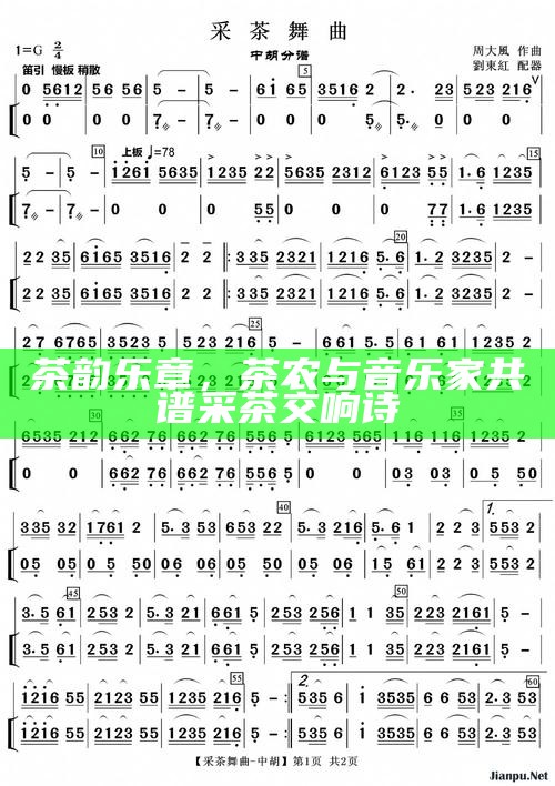 茶韵乐章，茶农与音乐家共谱采茶交响诗