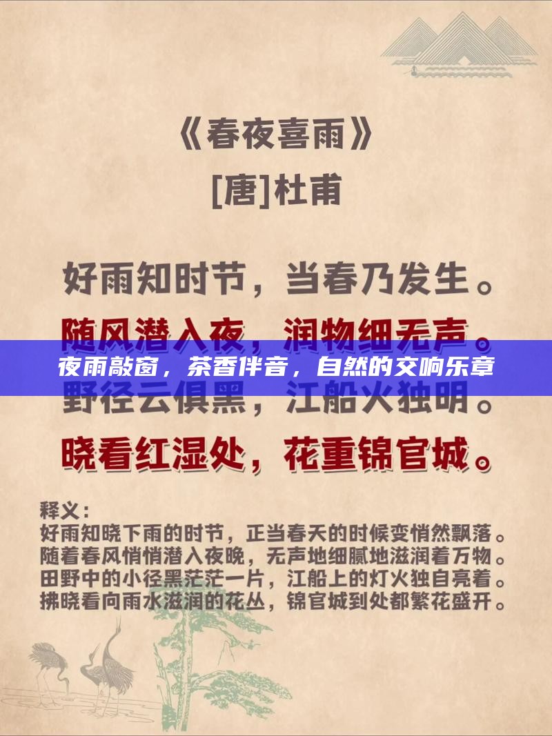 夜雨敲窗，茶香伴音，自然的交响乐章