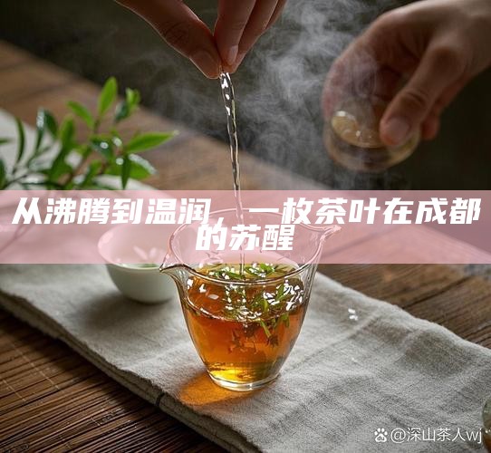 从沸腾到温润，一枚茶叶在成都的苏醒