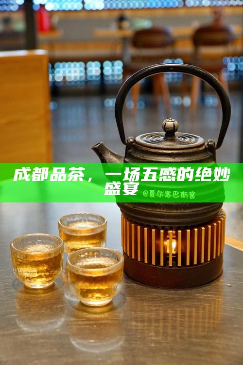 十六载茶会记忆，时光里的温情与重逢