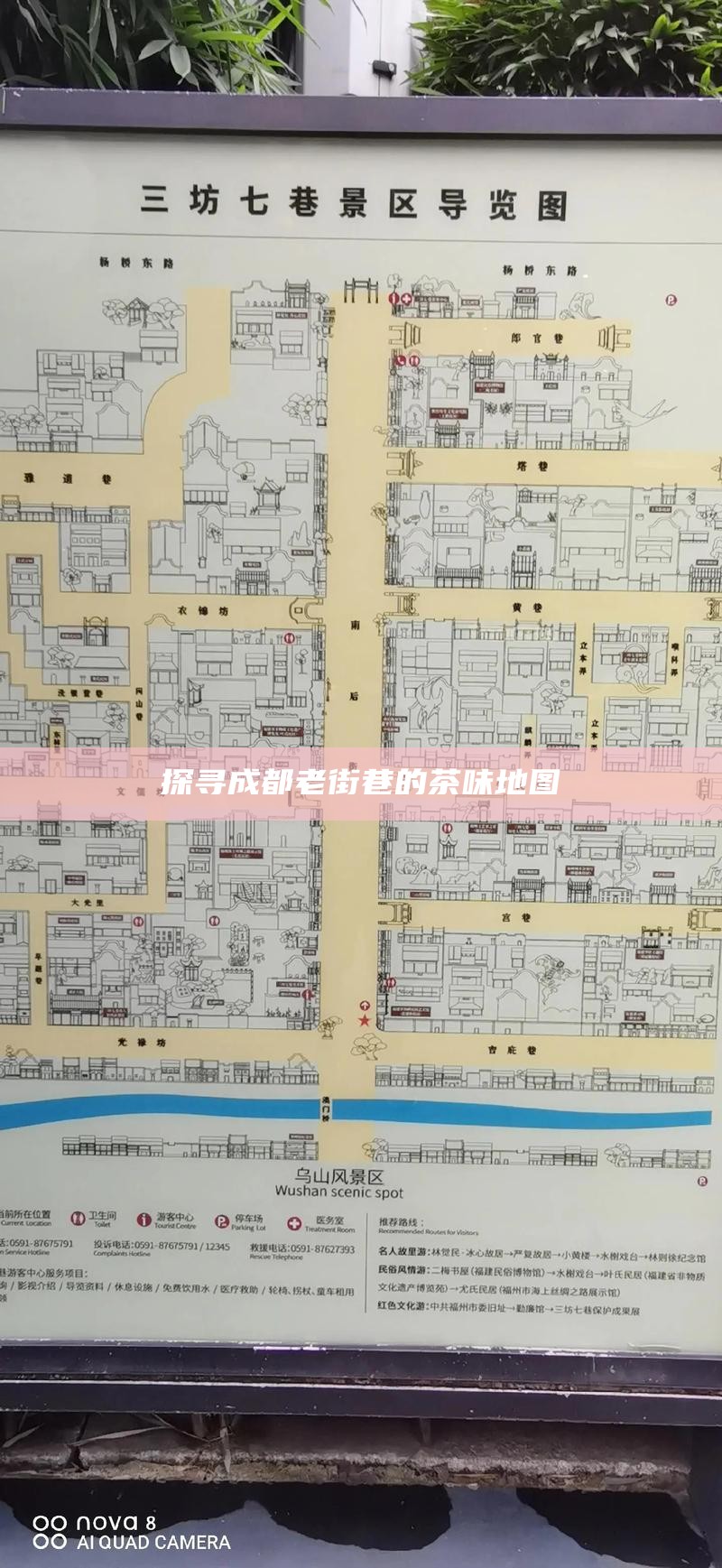 探寻成都老街巷的茶味地图