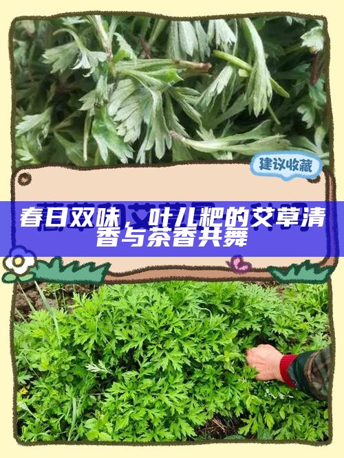 春日双味，叶儿粑的艾草清香与茶香共舞
