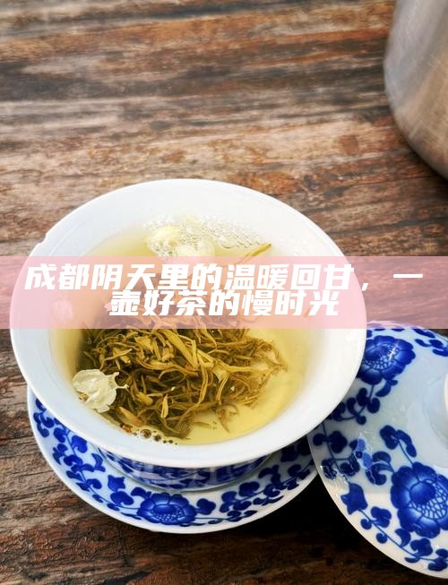 成都阴天里的温暖回甘，一壶好茶的慢时光