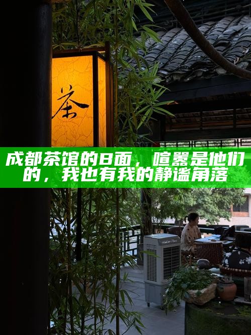成都茶馆的B面，喧嚣是他们的，我也有我的静谧角落