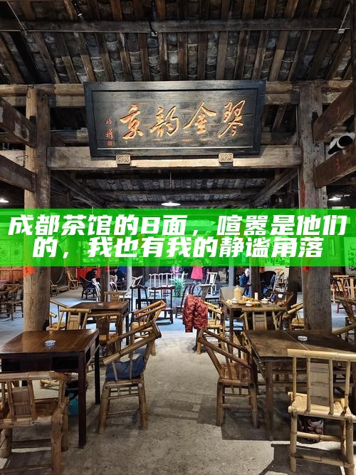 成都茶馆的B面，喧嚣是他们的，我也有我的静谧角落