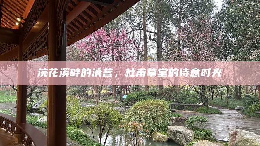 浣花溪畔的清茗，杜甫草堂的诗意时光