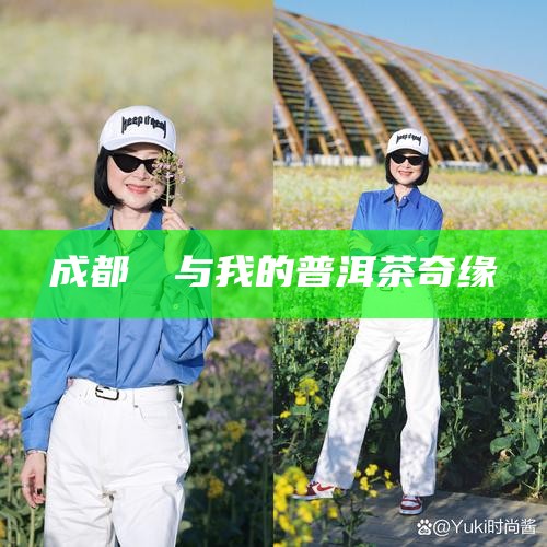 成都嬢嬢与我的普洱茶奇缘