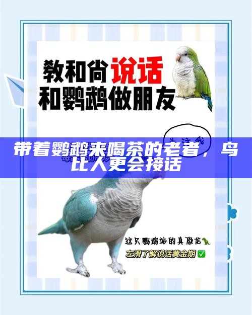 带着鹦鹉来喝茶的老者,鸟比人更会接话